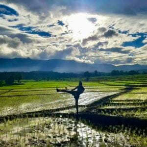 Amidst the rice fields @ Sitjemam Muay Thai Camp, Pai, Northern Thailand.