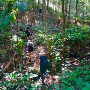 Jungle Trekking Doi Inthanon