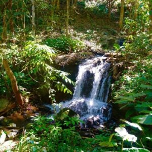 A minin waterfall in Doi Inthanon National Park.
