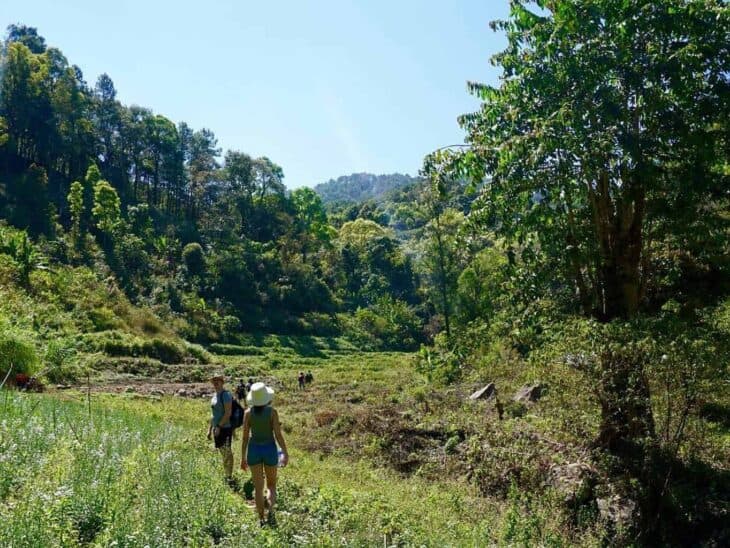 Hiking through the grasslands of Doi Inthanon.