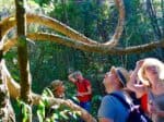 Doi Inthanon Trek Adventure | 1 - 2 Days | from CHIANG MAI, THAILAND