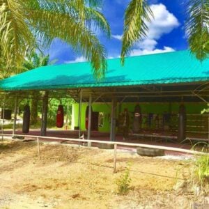 Honour Muay Thai, Krabi