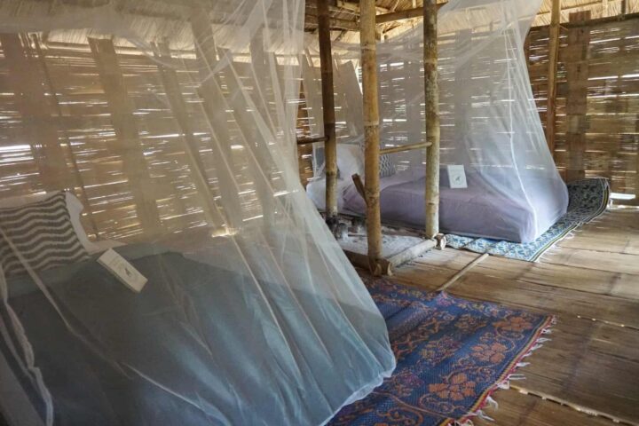 Beds With Mosquito Nets