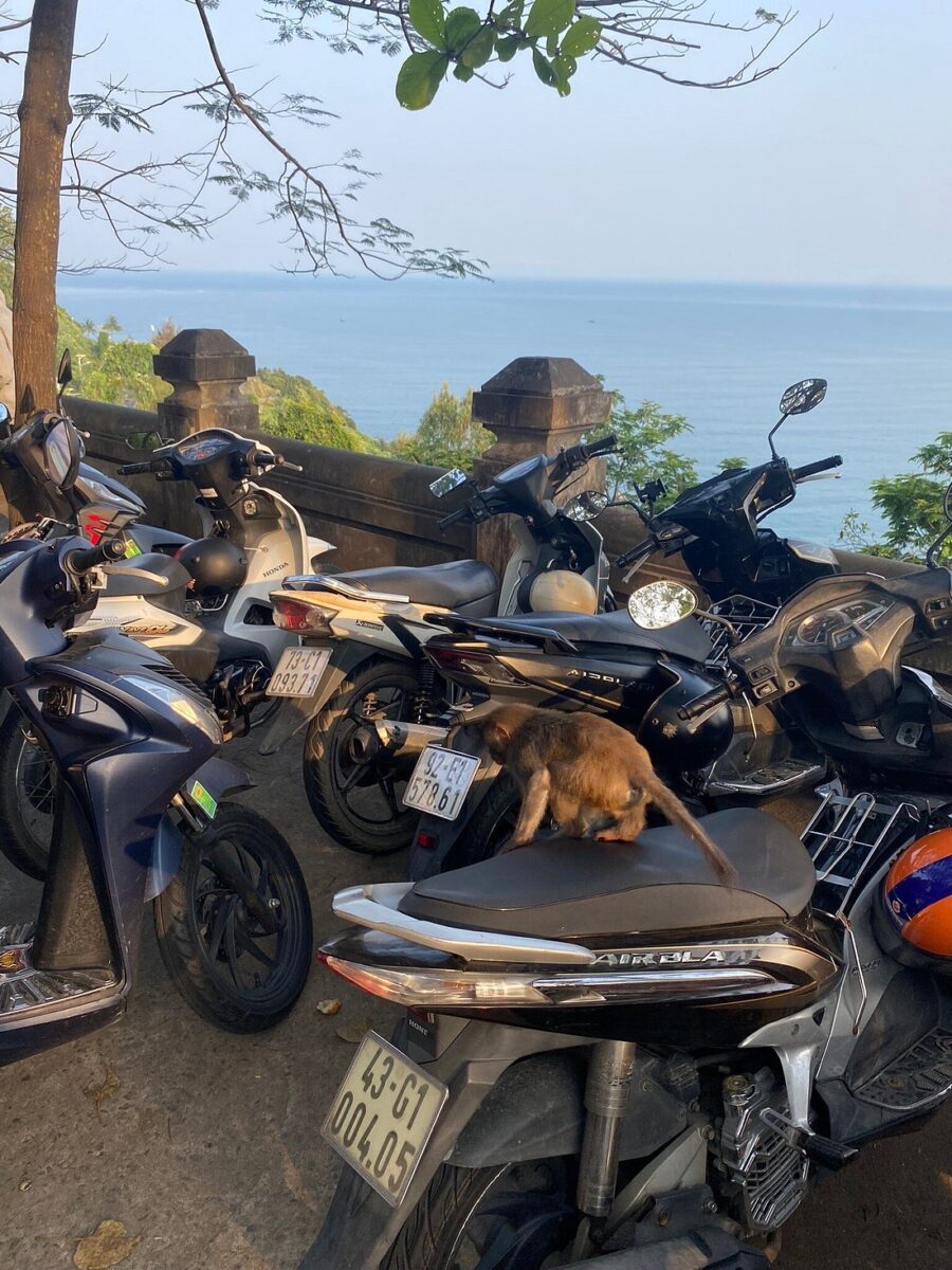 Image #5 from Jonny Renshaw