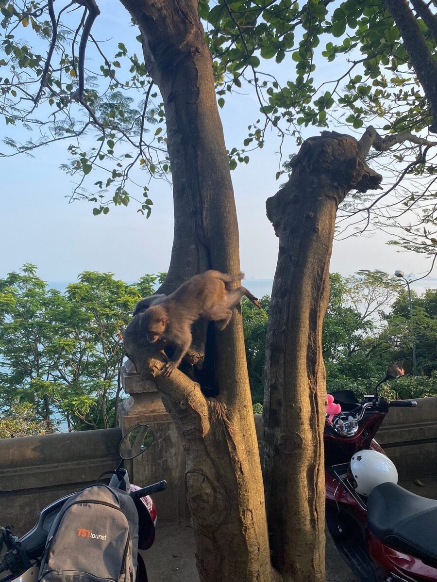 Image #6 from Jonny Renshaw