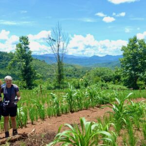 Walking in the fields in Laos during the Mekong Slow Boat Cruise